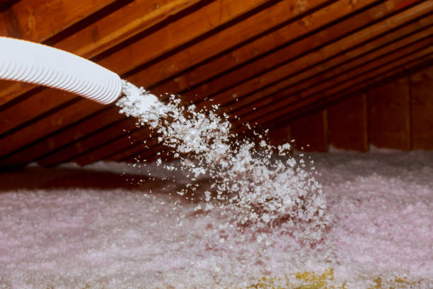 Best Specialized Insulation Services in Batavia, NY